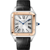 Santos-Dumont watch CRW2SA0017