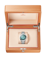 Seamaster Aqua Terra 150M 41 mm 220.10.41.21.03.006